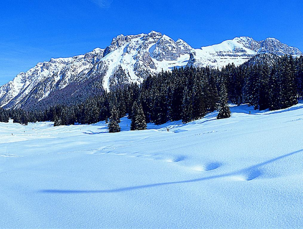 Apartamento Campiglio Bilocale Monte Spinale Madonna Habitación foto